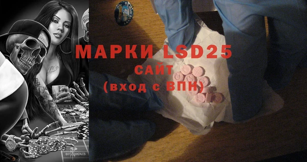 PSILOCYBIN Лиски