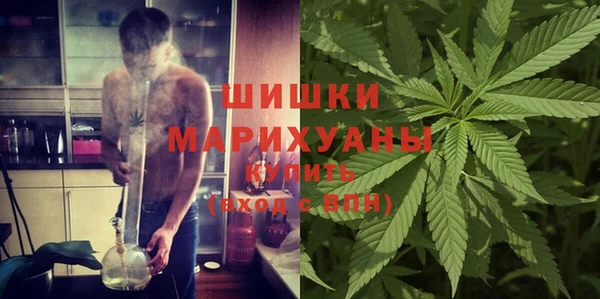 PSILOCYBIN Лиски