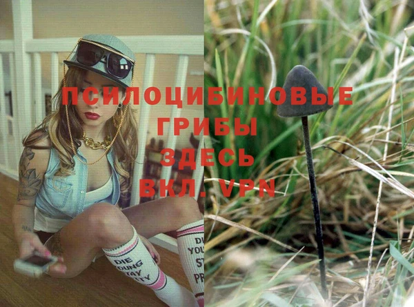 PSILOCYBIN Лиски