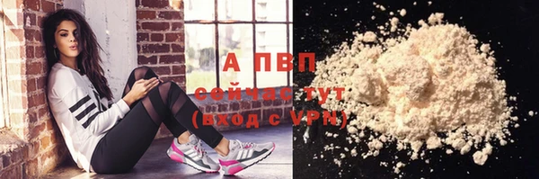 PSILOCYBIN Лиски