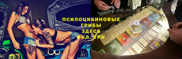 PSILOCYBIN Лиски